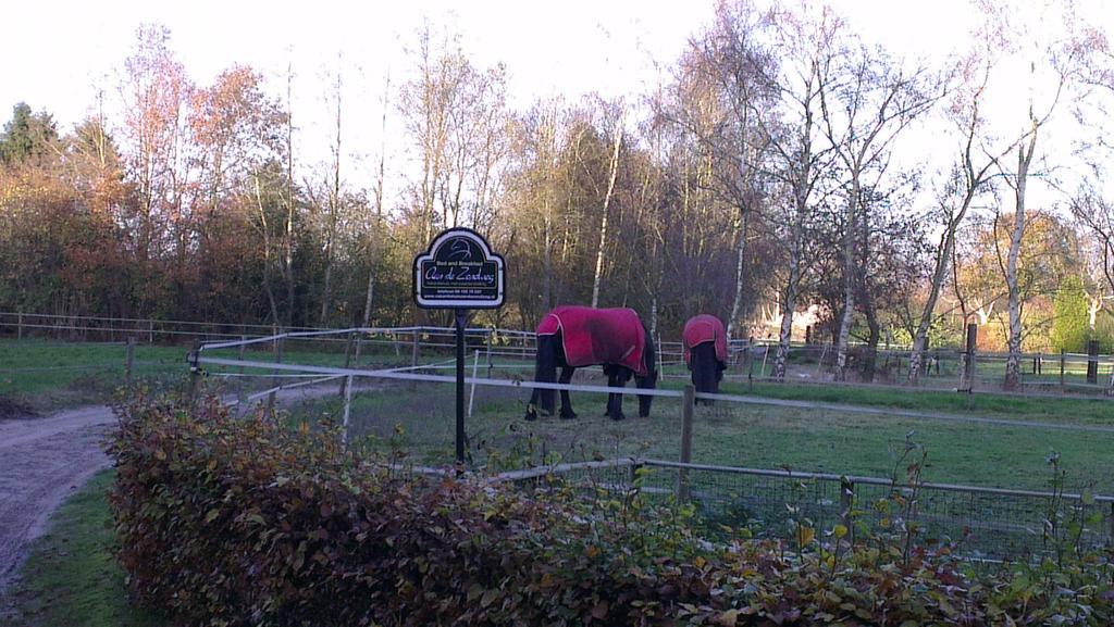 Vakantiehuis "Aan De Zandweg" Roderesch Quarto foto